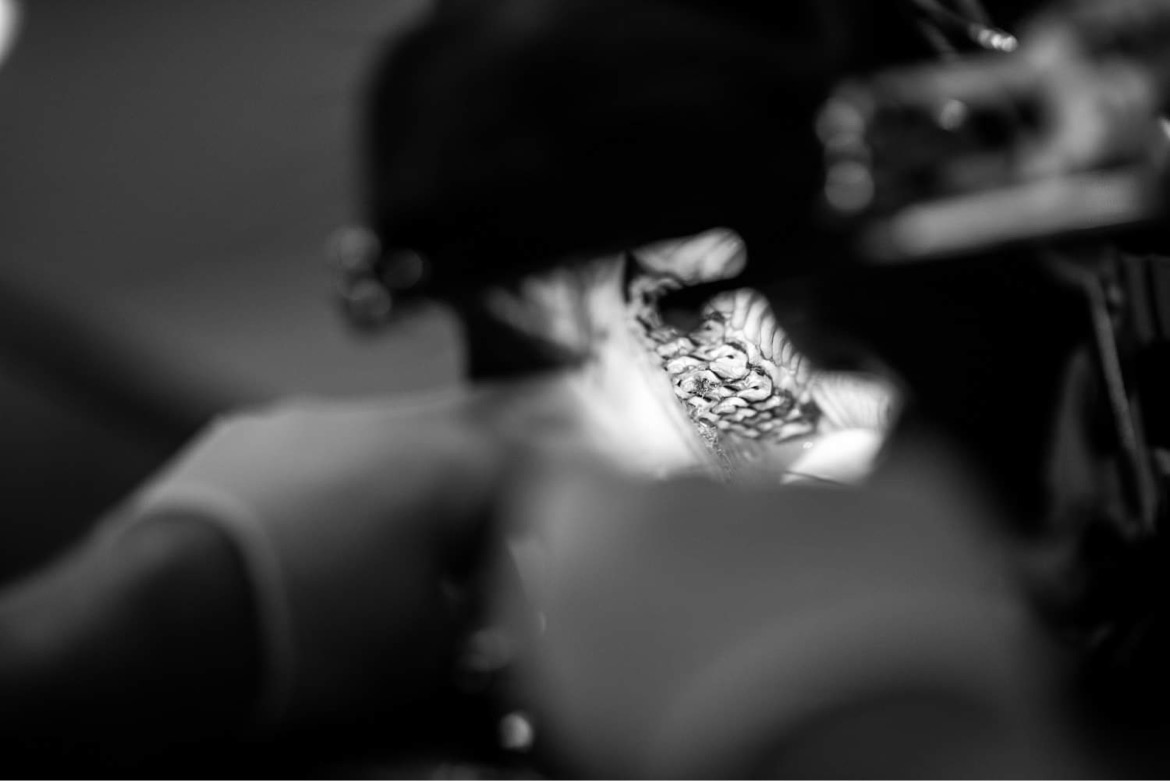 Hästens tänder är hypsodonta och slits hela livet